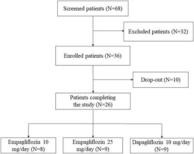 Copeptin adaptive response to SGLT2 inhibitors in patients with type 2 diabetes mellitus: The GliRACo study